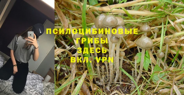 MDMA Алексин