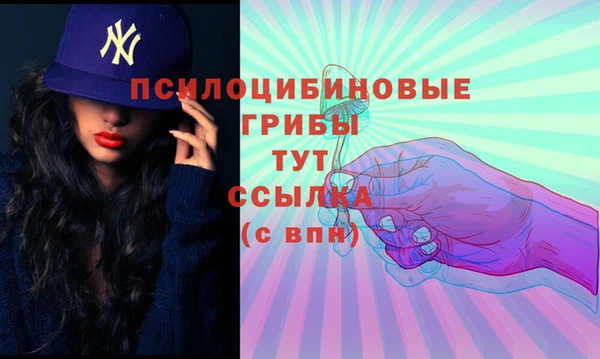 гидропоника Алексеевка