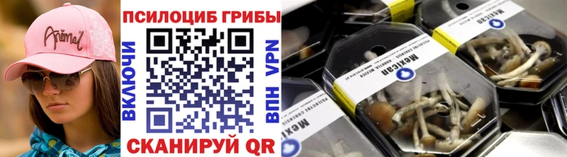 blacksprut tor  Мураши  Псилоцибиновые грибы MAGIC MUSHROOMS 